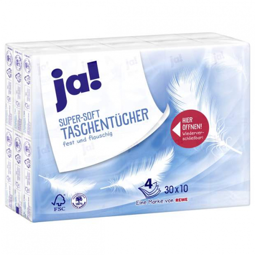 Papiertaschentücher Vorratspack 30 x 10 Stück